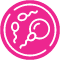 ICSI