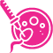 IVF